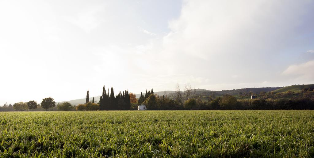 Cuevas Del Pino Turismo Rural Y Emocional Sl Villarrubia Экстерьер фото
