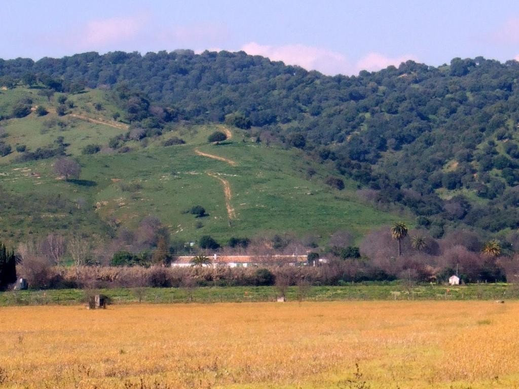 Cuevas Del Pino Turismo Rural Y Emocional Sl Villarrubia Экстерьер фото